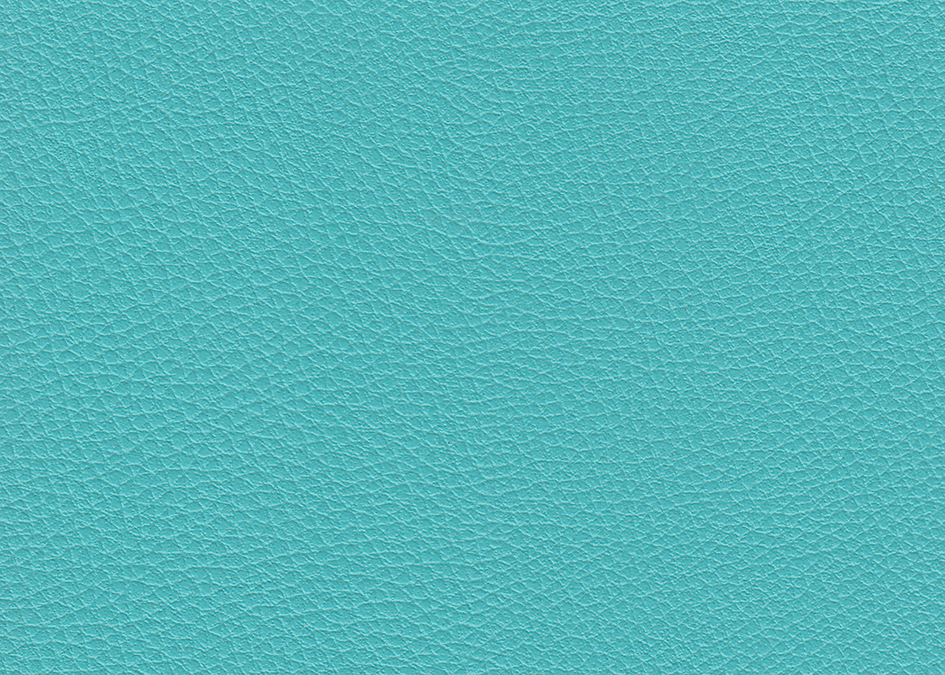zoom colori GARDIAN GROS GRAIN M1 turquoise