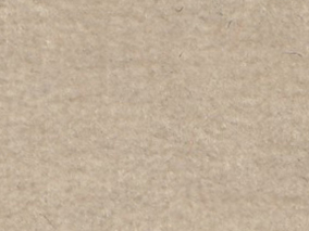 zoom colori VELOURS JOYCE ficelle