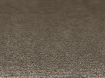 zoom colori VELOURS JOYCE koala