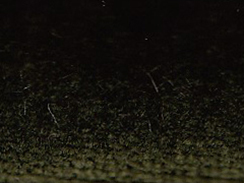 zoom colori VELOURS JOYCE amazonie