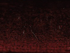 zoom colori VELOURS JOYCE bordeaux