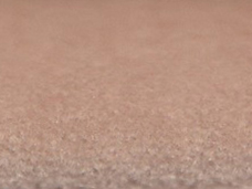 zoom colori VELOURS JOYCE nude