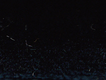 zoom colori VELOURS JOYCE marine