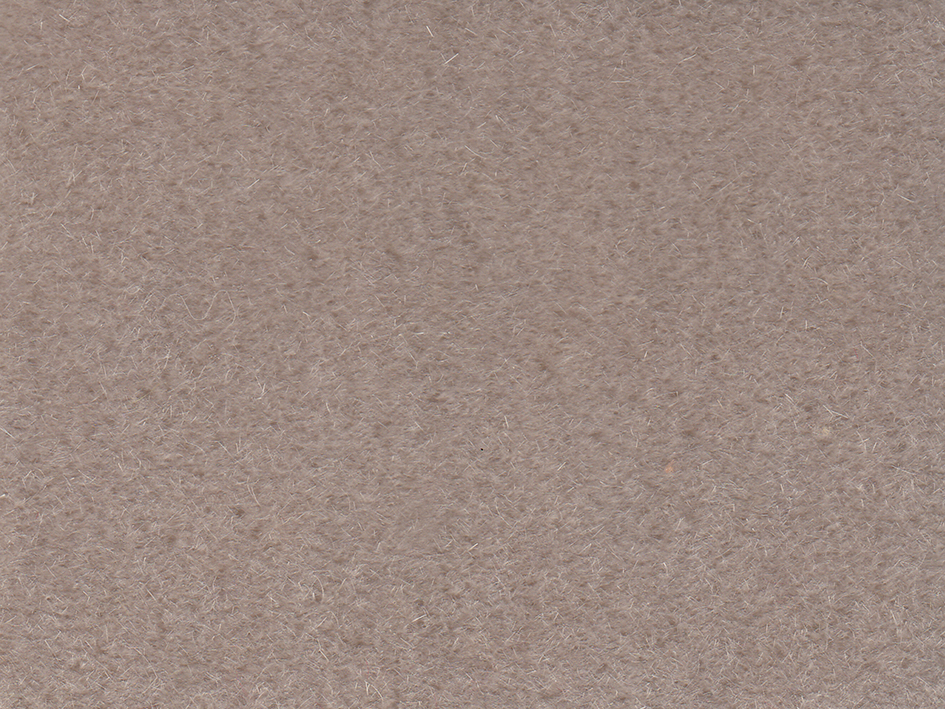 zoom colori LOVER oyster