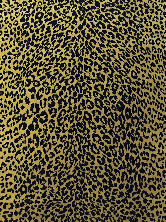 zoom colori LEOPARD fauve