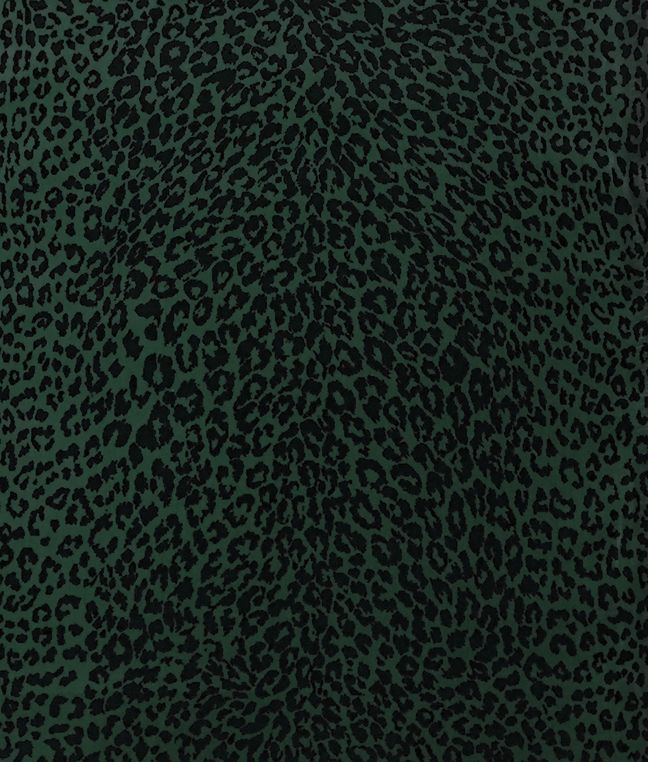zoom colori LEOPARD vert