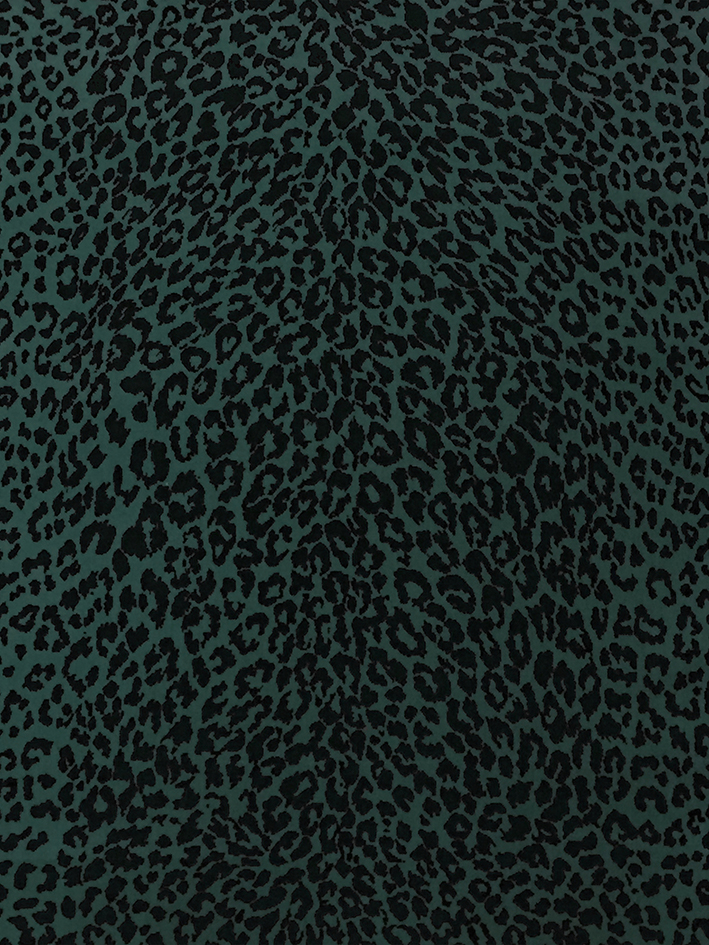 zoom colori LEOPARD bleu vert