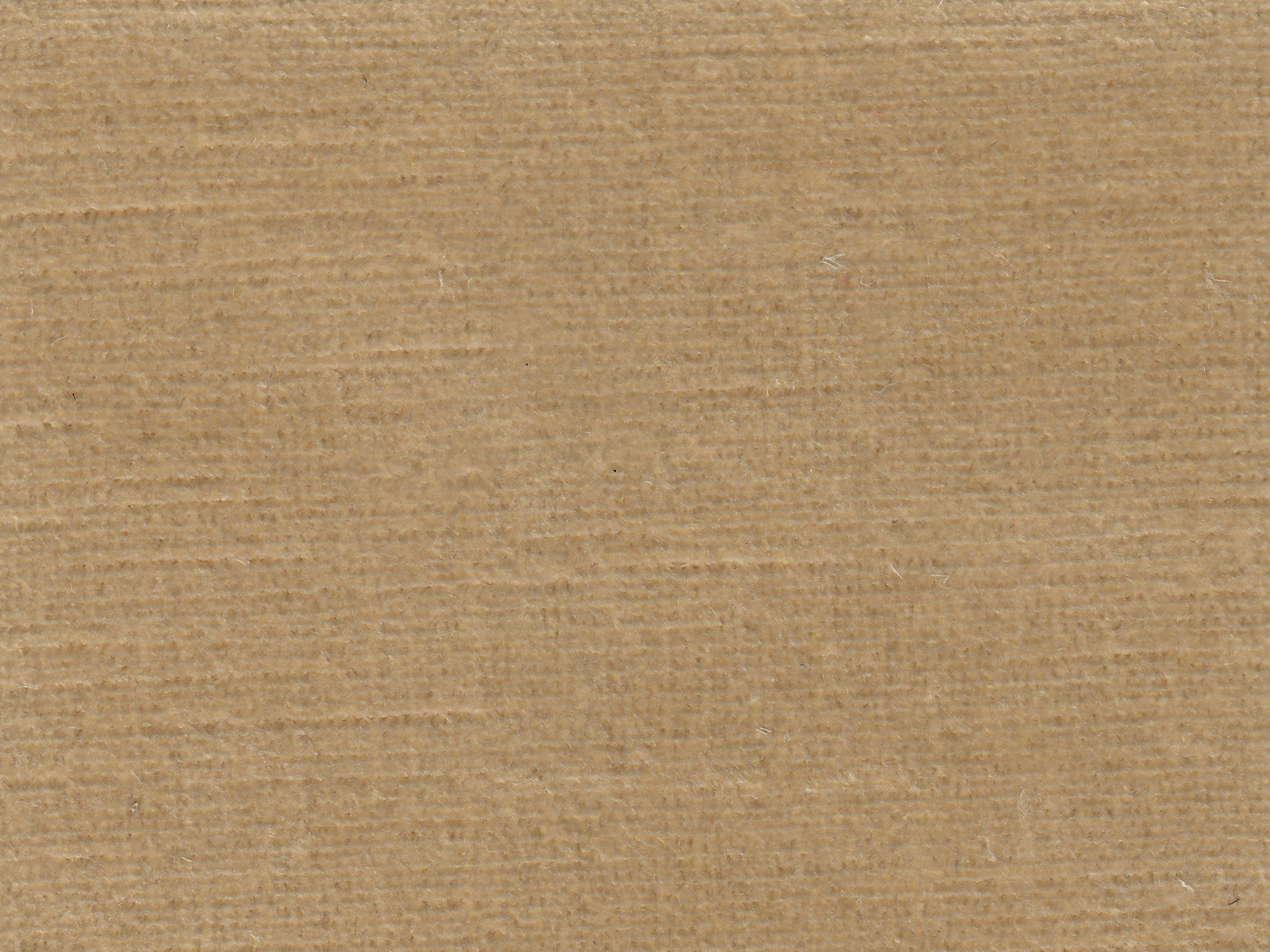 zoom colori BRAGANCE gabardine