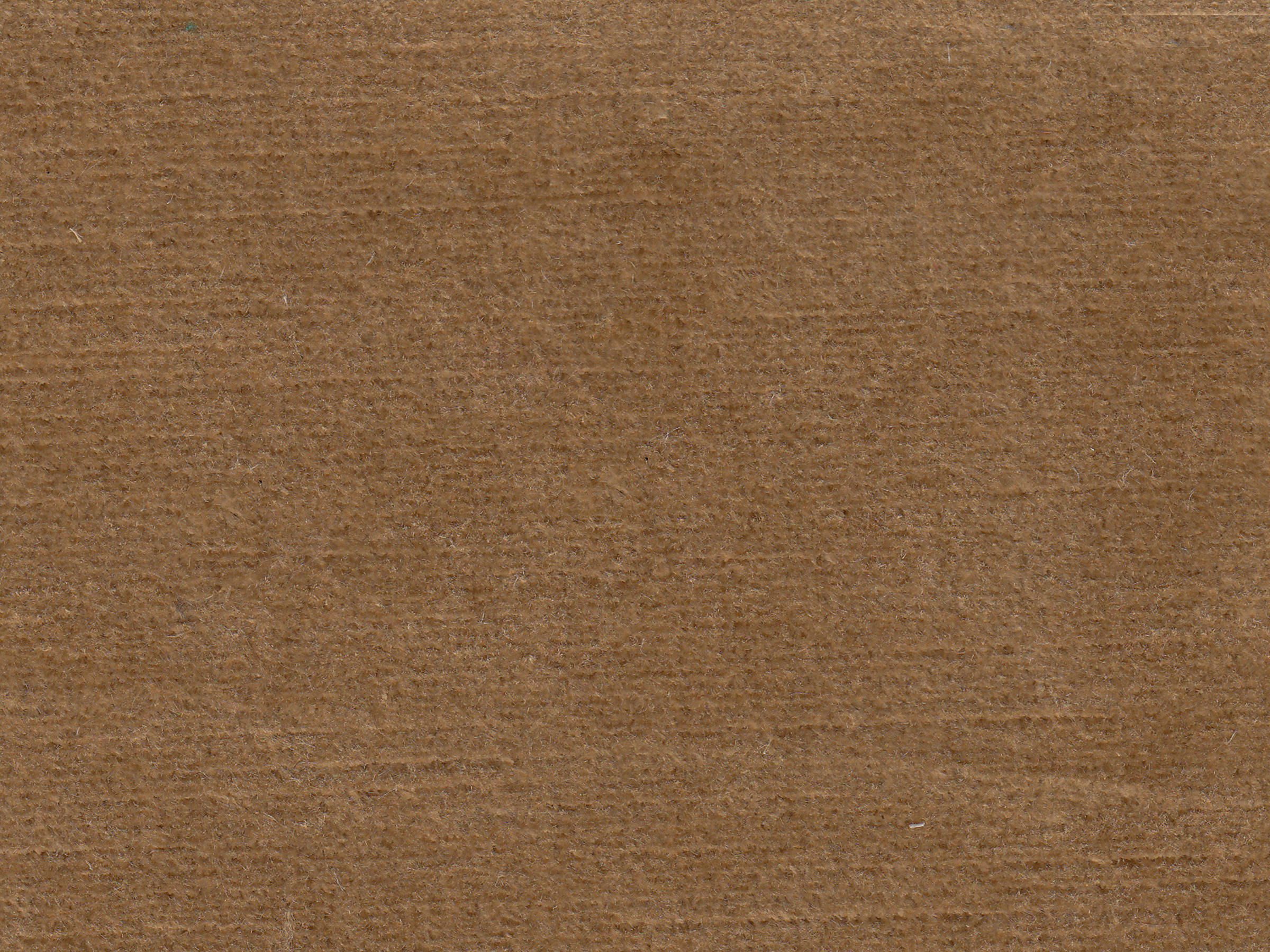 zoom colori BRAGANCE vison