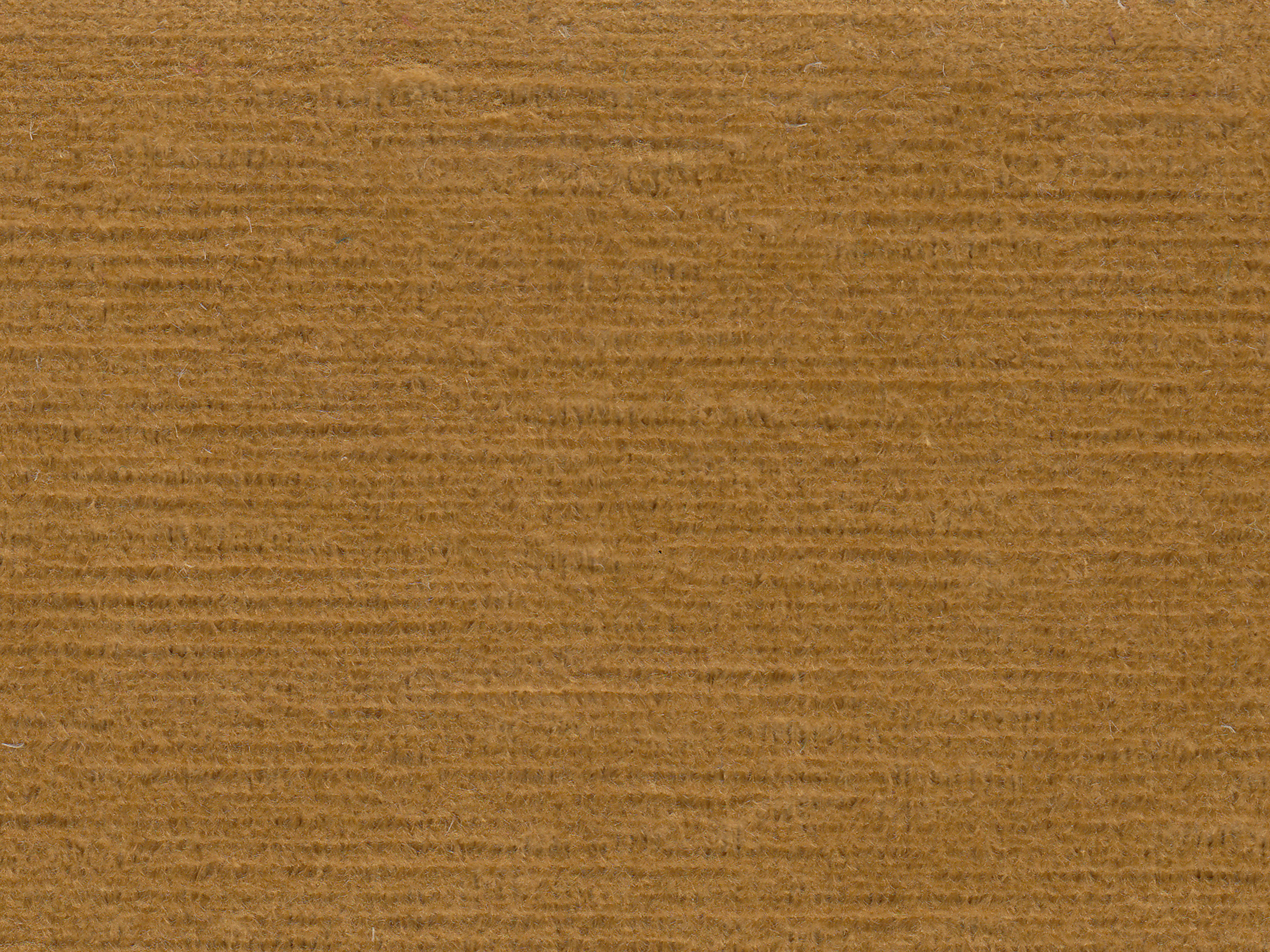 zoom colori BRAGANCE miel