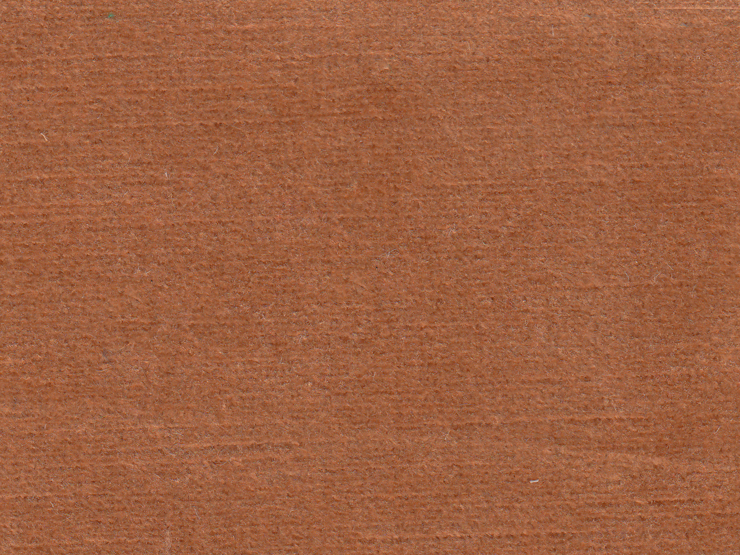 zoom colori BRAGANCE rose ronsard