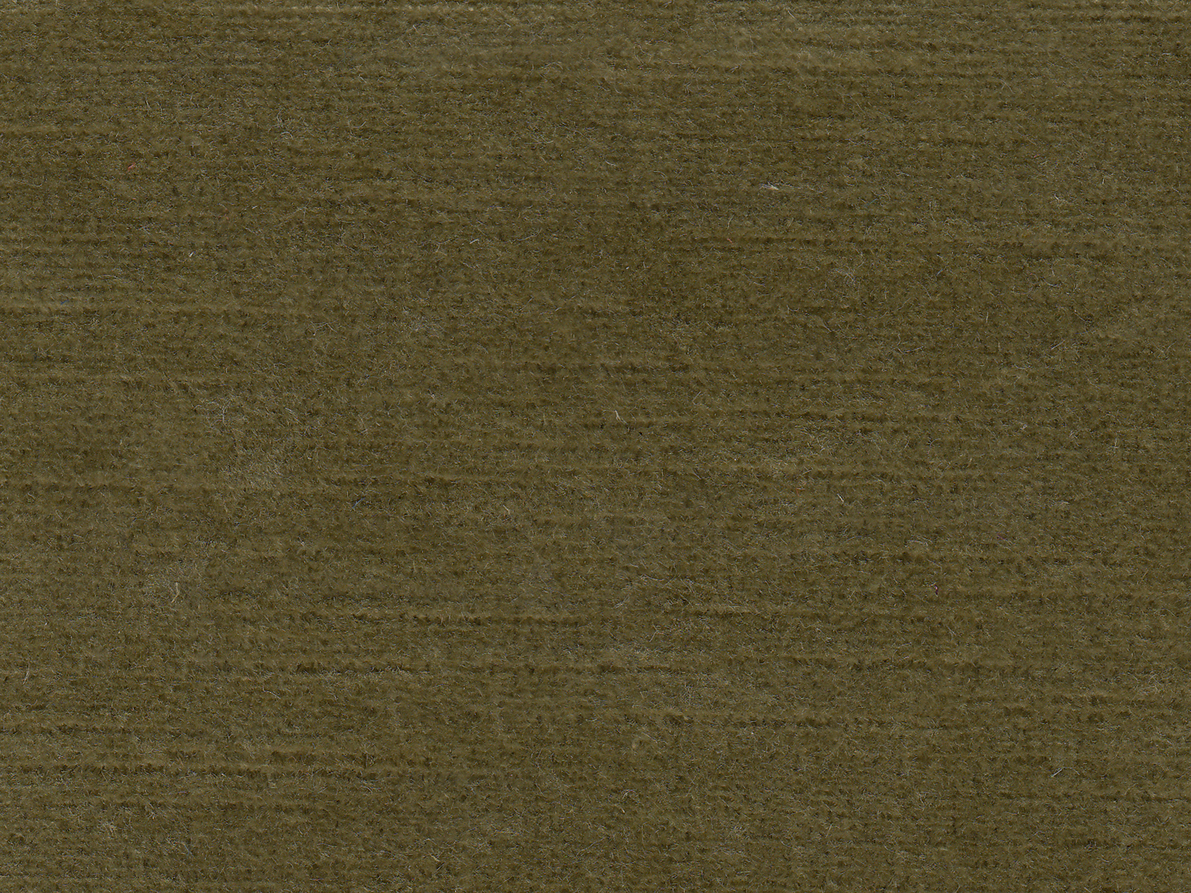 zoom colori BRAGANCE tilleul