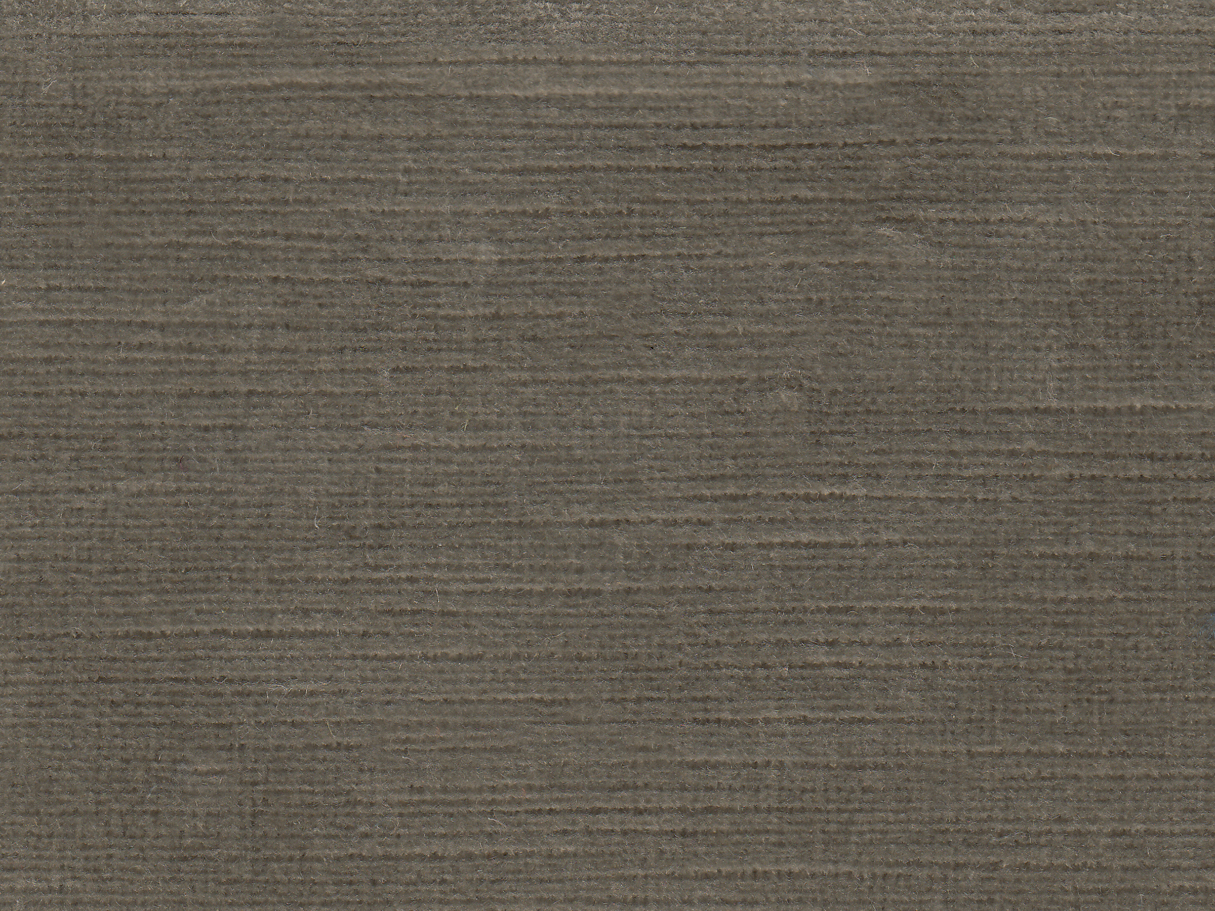 zoom colori BRAGANCE éléphant