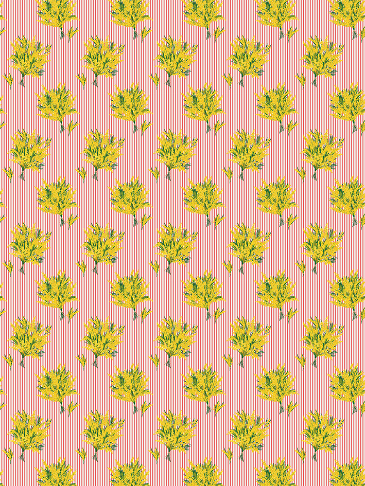 zoom colori MIMOSAS FINE RAYURE rouge corail