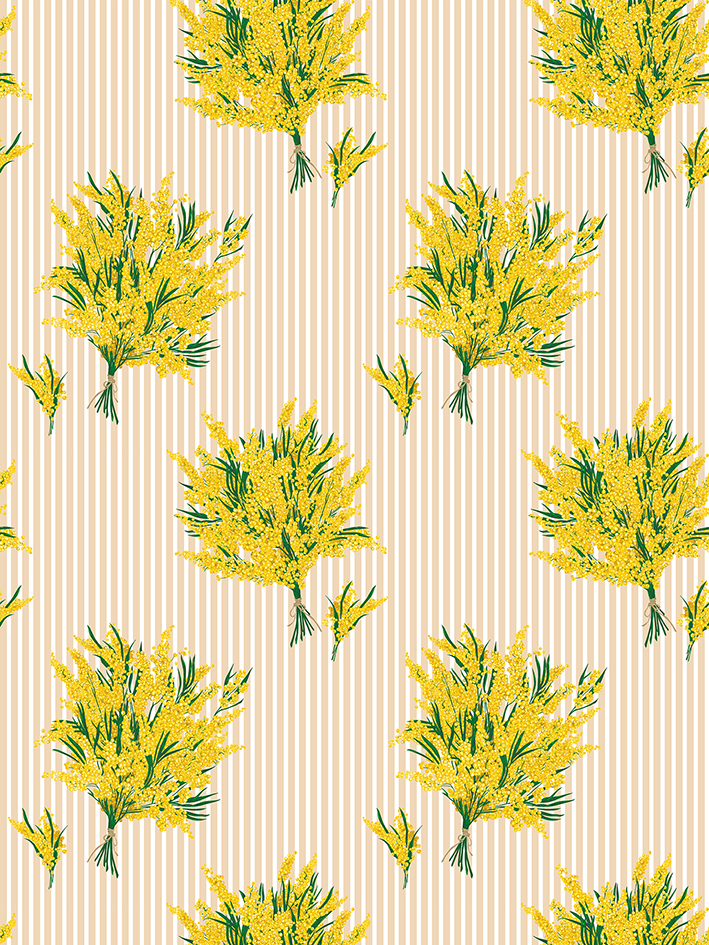 zoom colori MIMOSAS LARGE RAYURE rosée