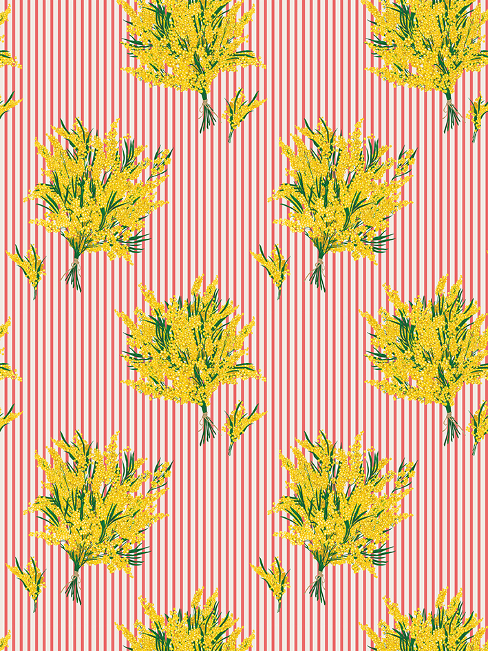 zoom colori MIMOSAS LARGE RAYURE rouge corail