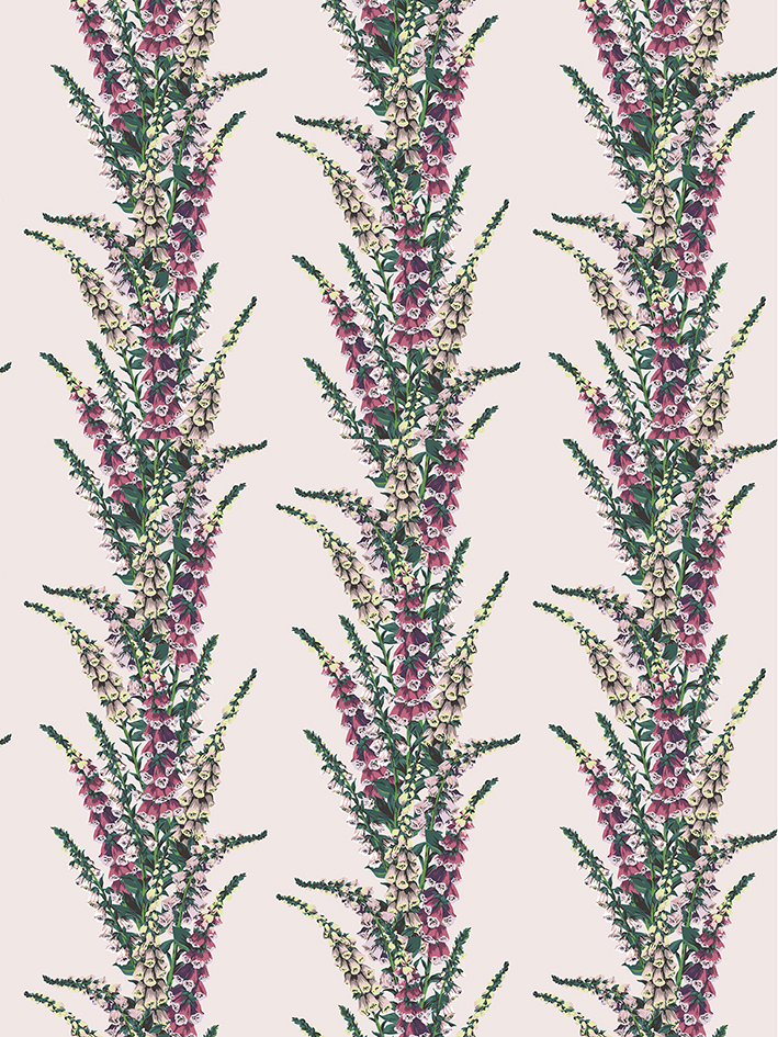 zoom colori DIGITALES pp rose, violine