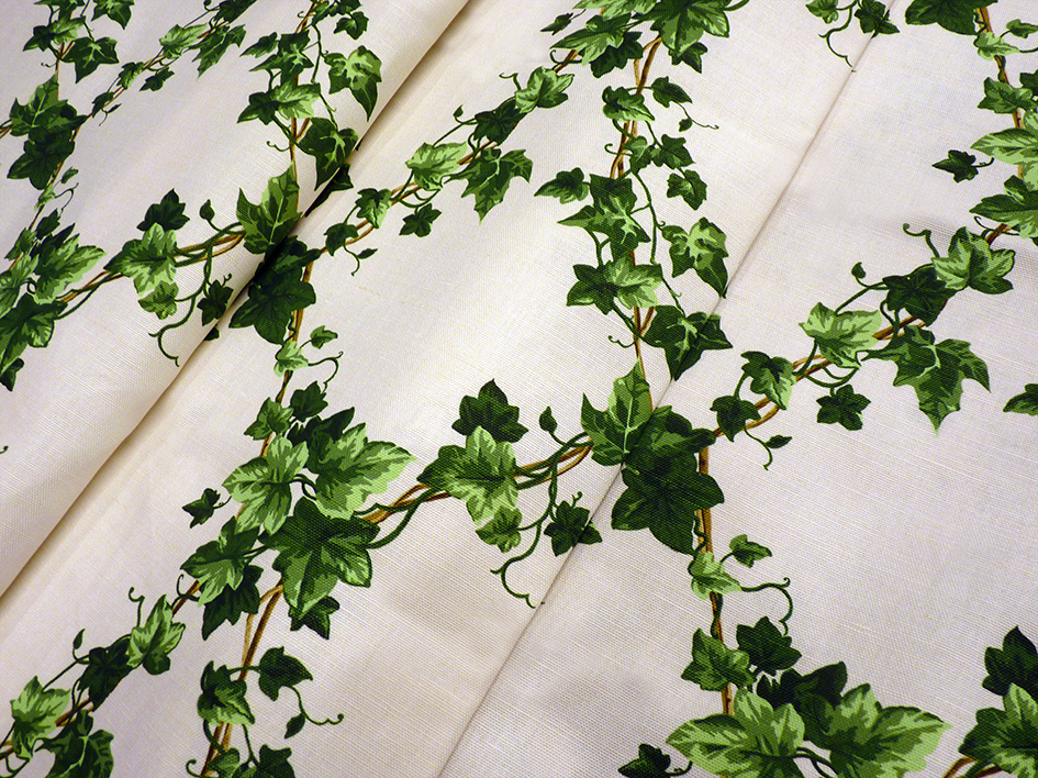 zoom colori PETIT LIERRE vert