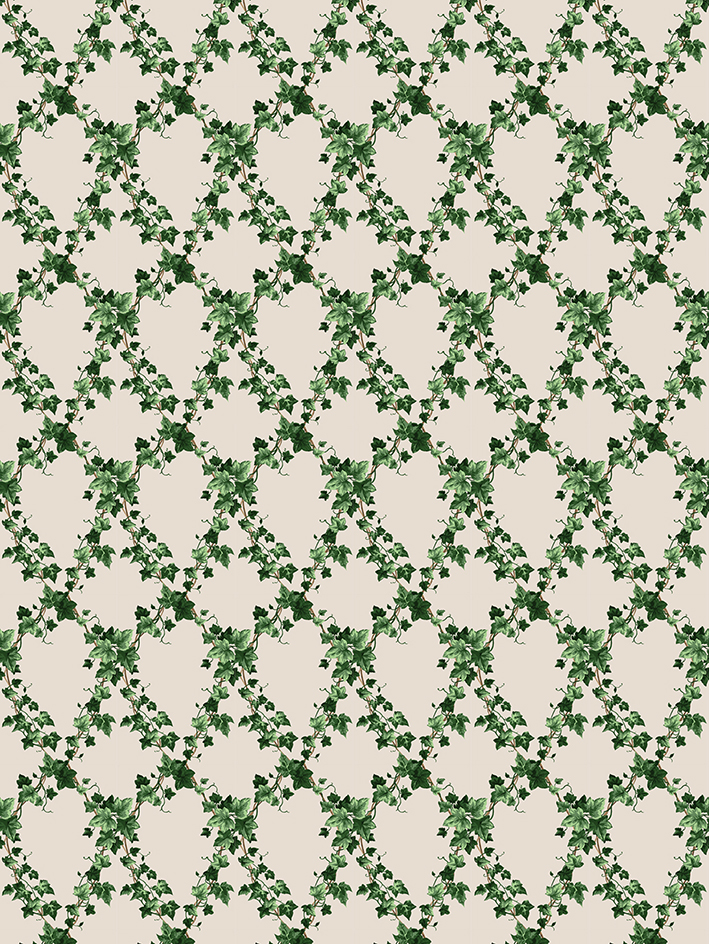 zoom colori PETIT LIERRE pp vert