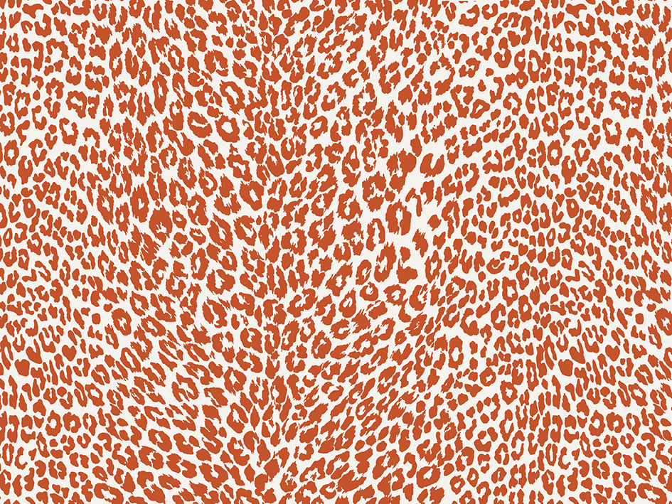 zoom colori PETIT LEOPARD orange