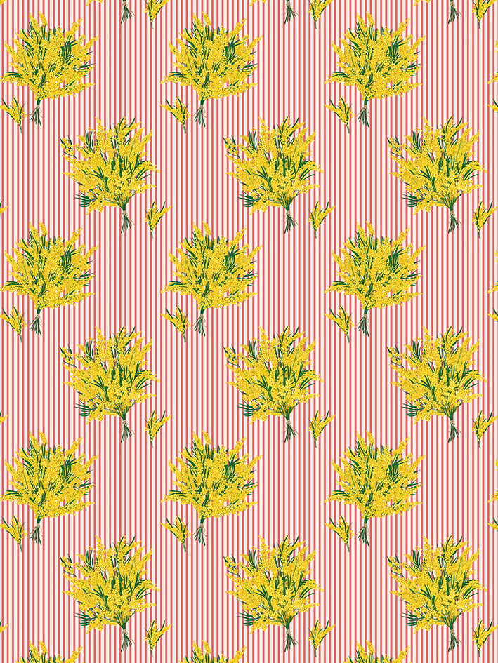 zoom colori MIMOSAS FINE RAYURE pp rouge corail