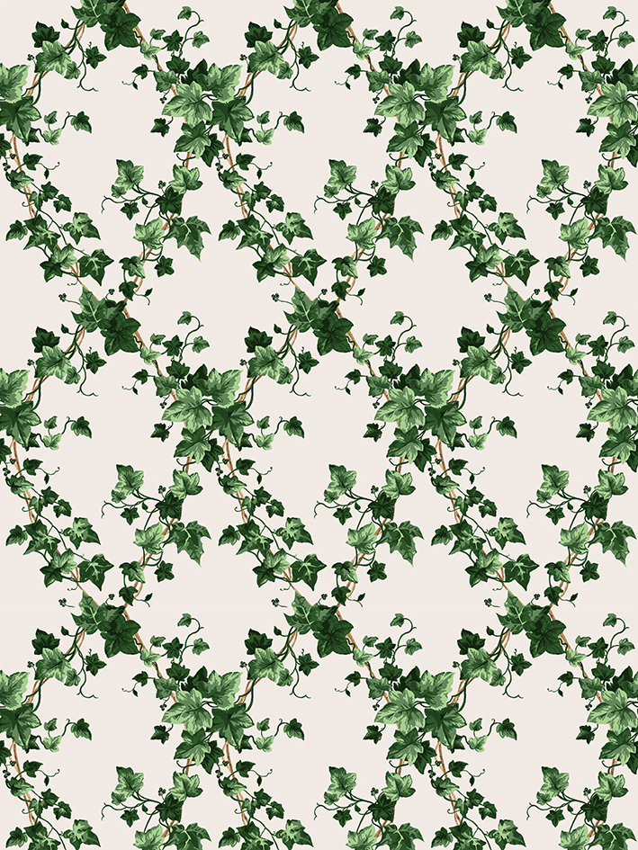 colori GRAND LIERRE vert