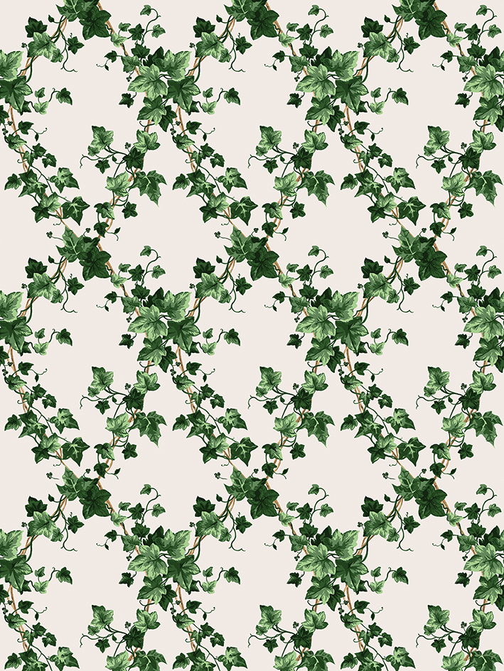 colori GRAND LIERRE pp vert