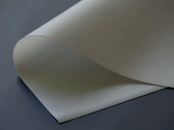 colori ECRAN 240 NF M1 blanc